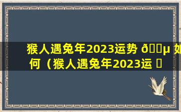 猴人遇兔年2023运势 🐵 如何（猴人遇兔年2023运 ☘ 势如何 爱情运佳）